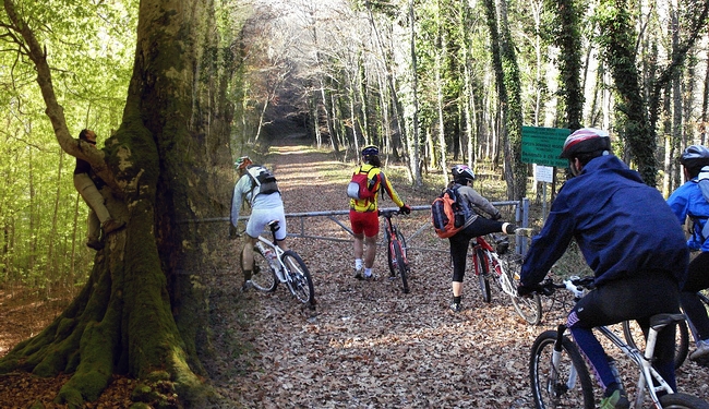 Foto lAnello di Bosco Pennataro