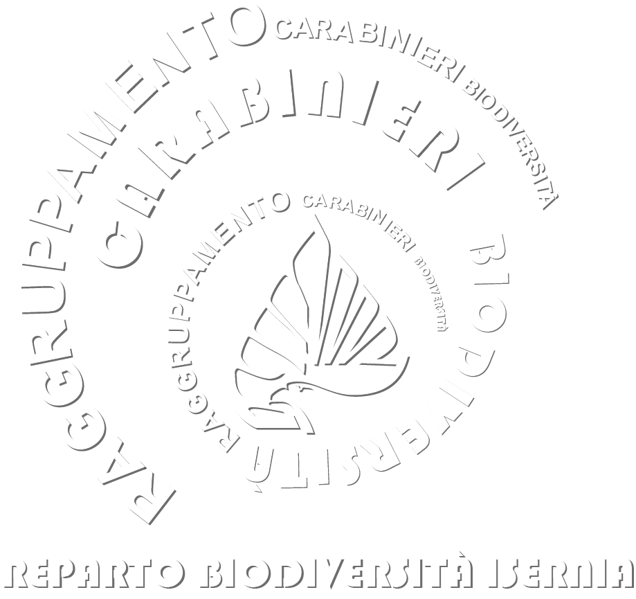 Reparto Carabinieri Biodiversità di Isernia