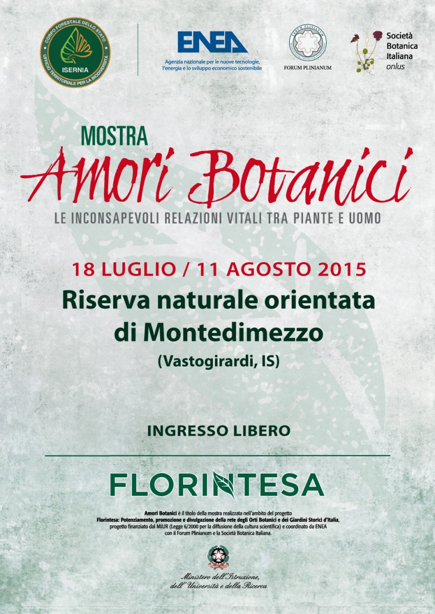 Florintesa-montedimezzo 2015