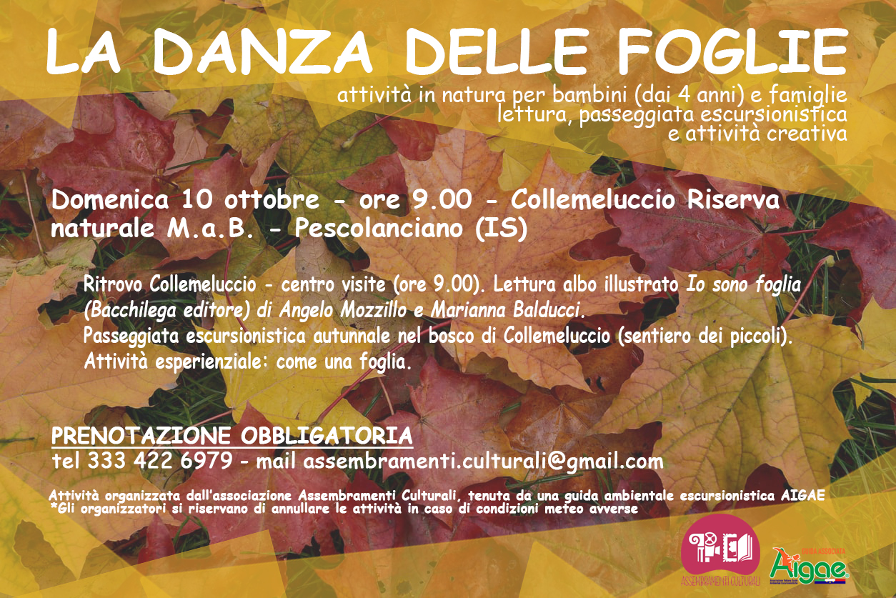 La danza delle foglie locandina